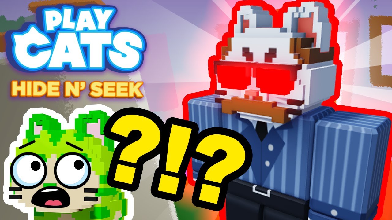 Let's Play! Play Cats Hide and Seek!