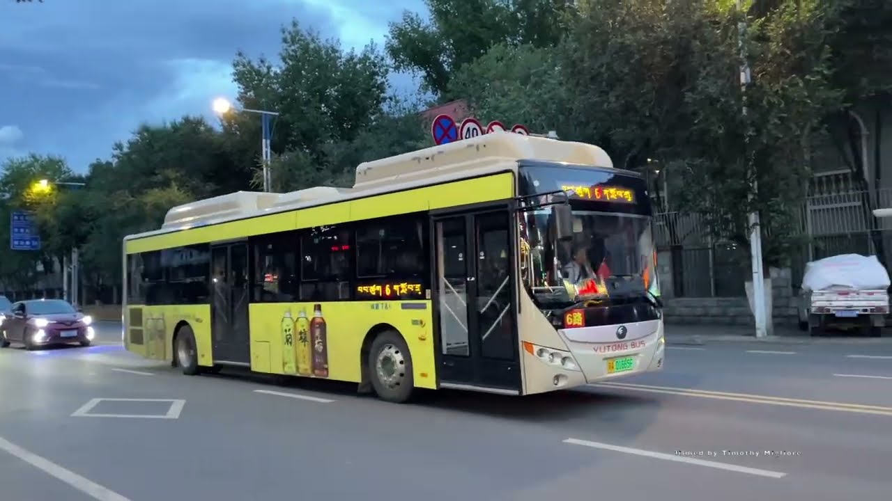 Buses in Lhasa, Tibet, China (the capital) 2025 - 城关区 ཁྲིན་ཀོན་ཆུས།