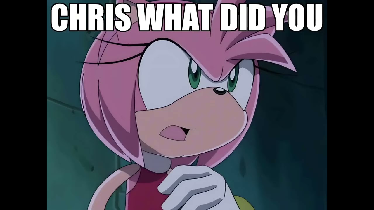 Sonic went to far