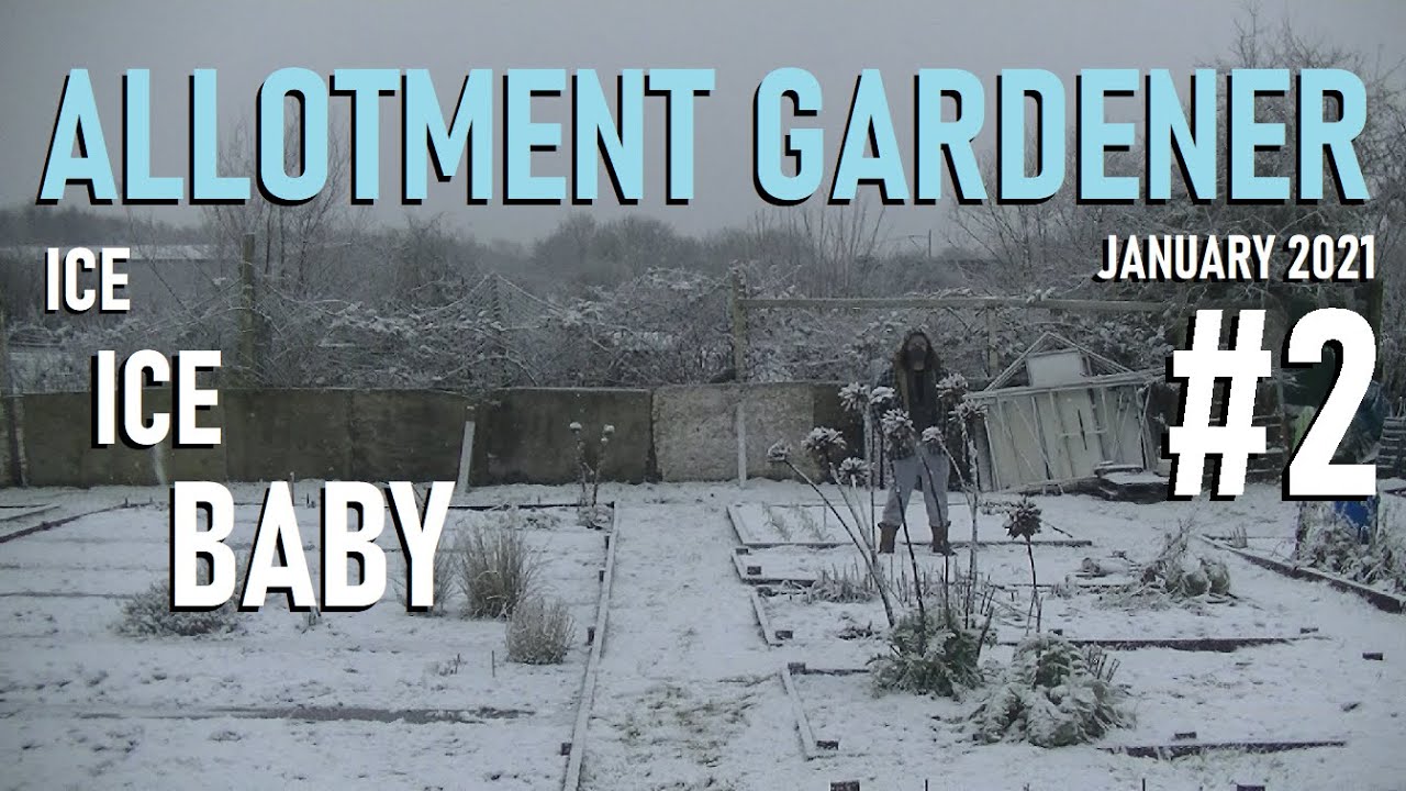 2021 #2 - Icy Day On The Plot - An Allotment Diary