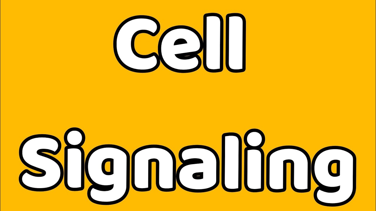 Cell signaling Part-1 | types, types of receptors ligands etc