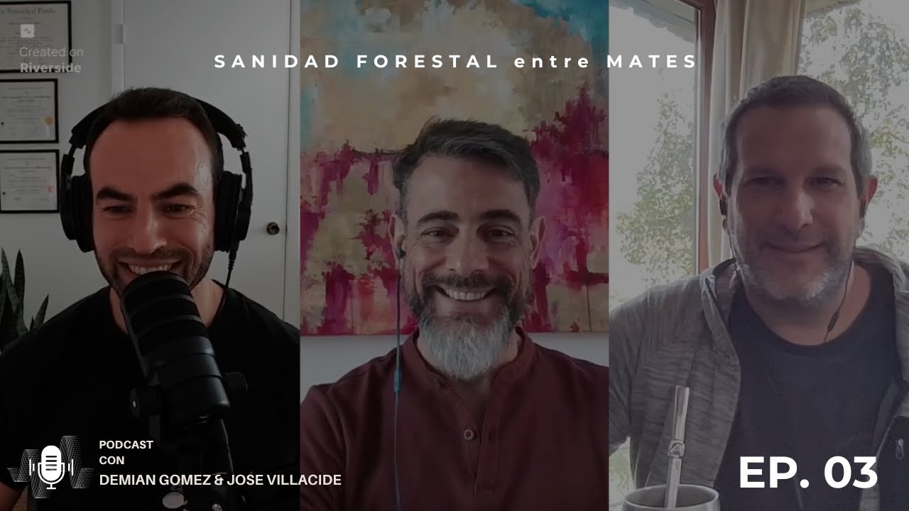 Satélites, Drones y Sanidad Forestal - Dr. Andrés Hirigoyen