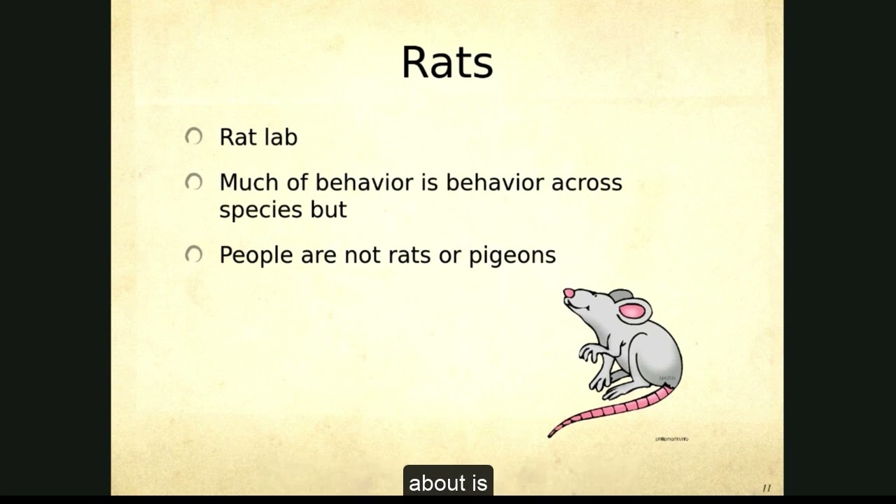 Understanding and Improving Behavior: A Sensible Approach