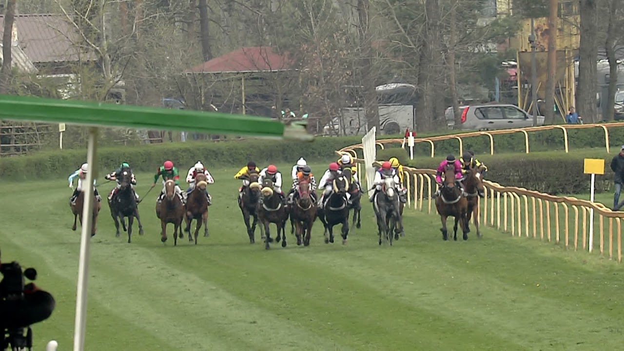7. dostih - Handicap OS Hippodrom - dostihy Lysá nad Labem 1. 5. 2021