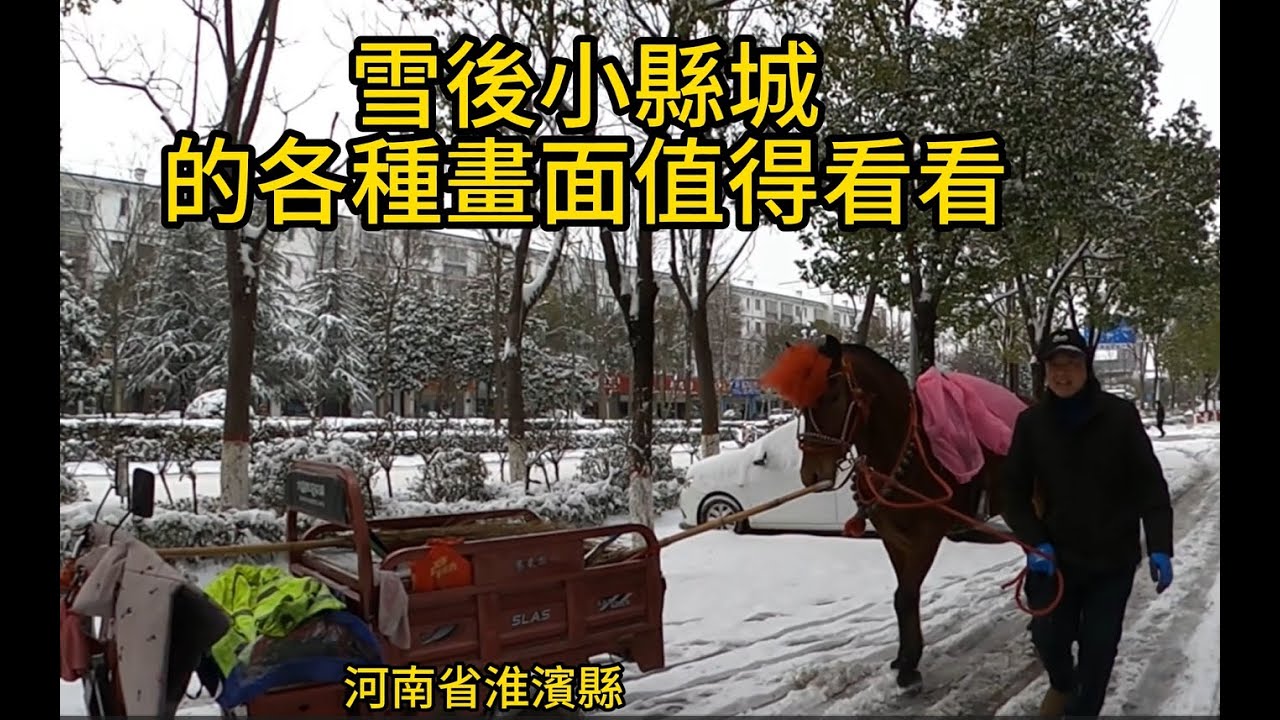 預警幾天的淮濱縣大雪如期而至，隨我一起看看雪後小縣城的街景，有人牽著高頭大馬去接親，幹部摸樣的人在卖力扫雪，有人掃雪作秀，有点意思，值得看看呃