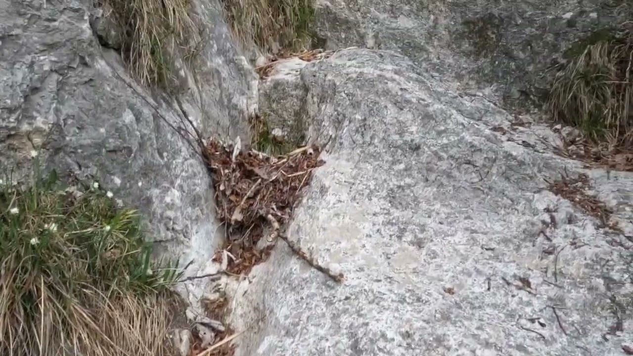 Canalone Belasa , Monte Moregallo , Tre Corni di Canzo - 15 aprile 2024