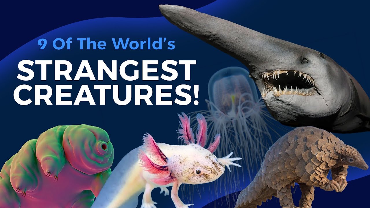9 Creatures That Are Straight Out Of A Sci-Fi Movie
