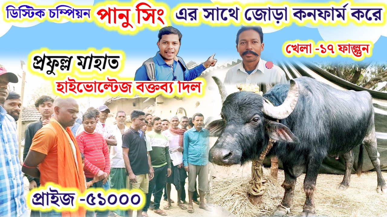 ডিস্টিক চম্পিয়ন পানু সিং এর সাথে জোড়া কনফার্ম,করে প্রফুল্ল মাহাত হাইভোল্টেজ বক্তব্য দিল।DHARGRAM