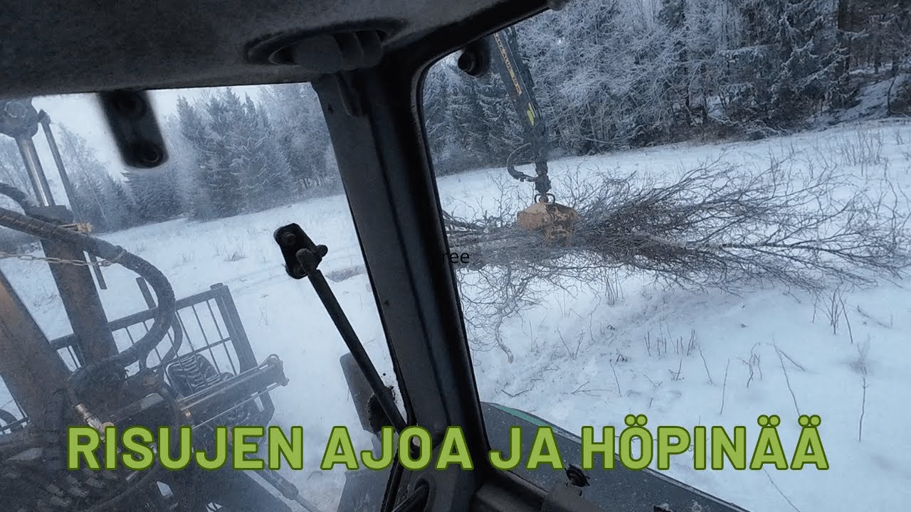 Risujen ajoa ja höpinää