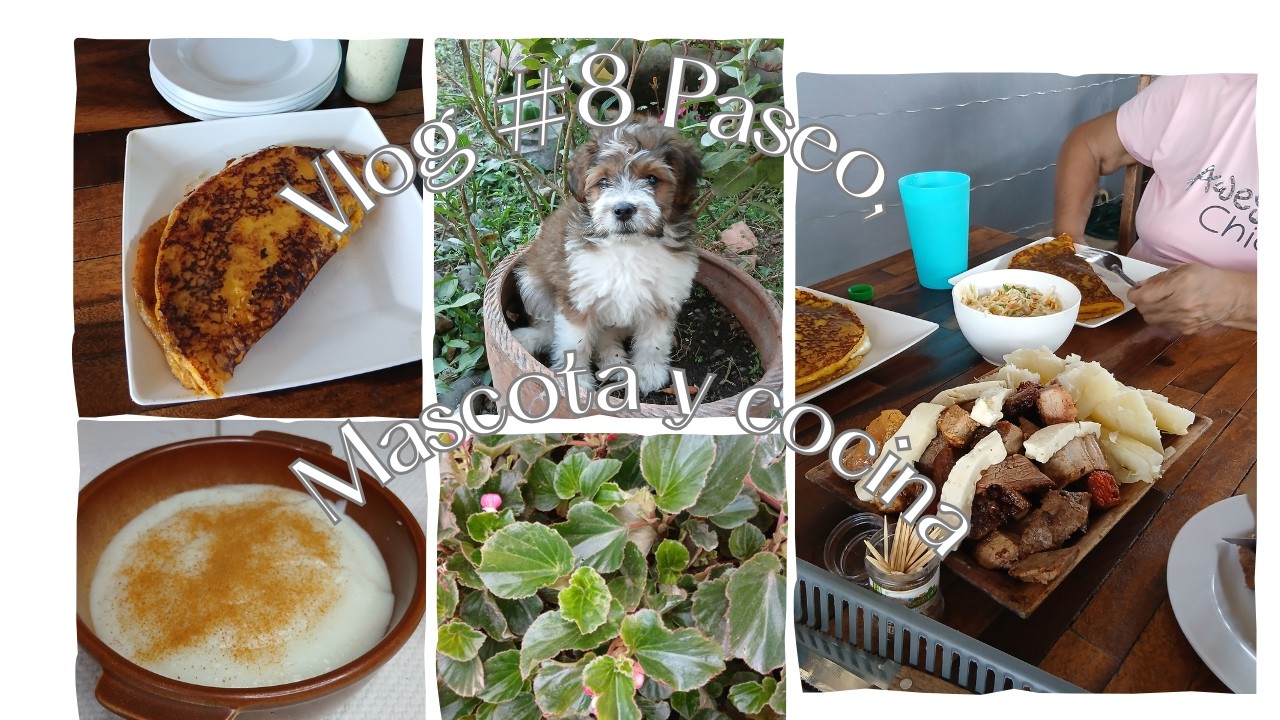 Diario #8 Amanecer con lluvia/visitando restauran Floclórico/Cocinando y tejiendo mini proyecto