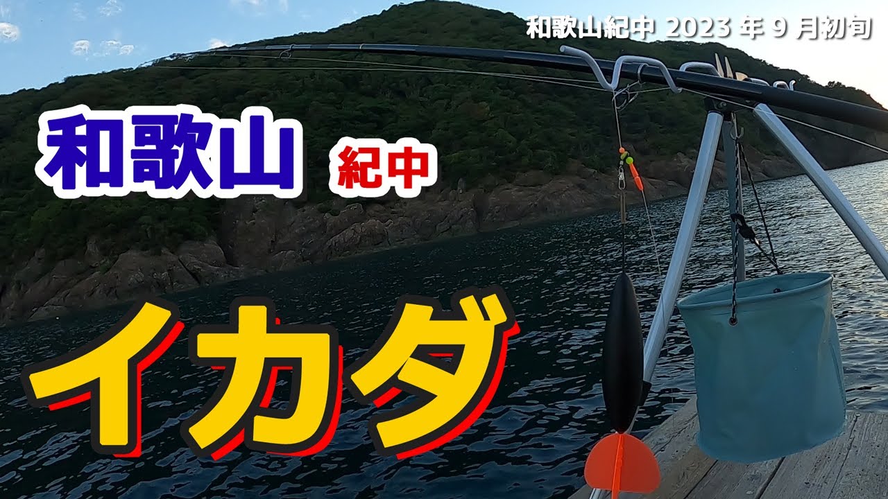 【和歌山紀中】イカダ　五目釣り　カゴ釣りやジギング、ノマセ釣り！