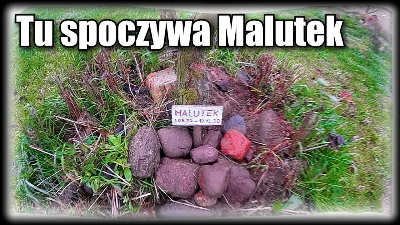 Najsmutniejszy odcinek na kanale | Malutek odszedł 😥