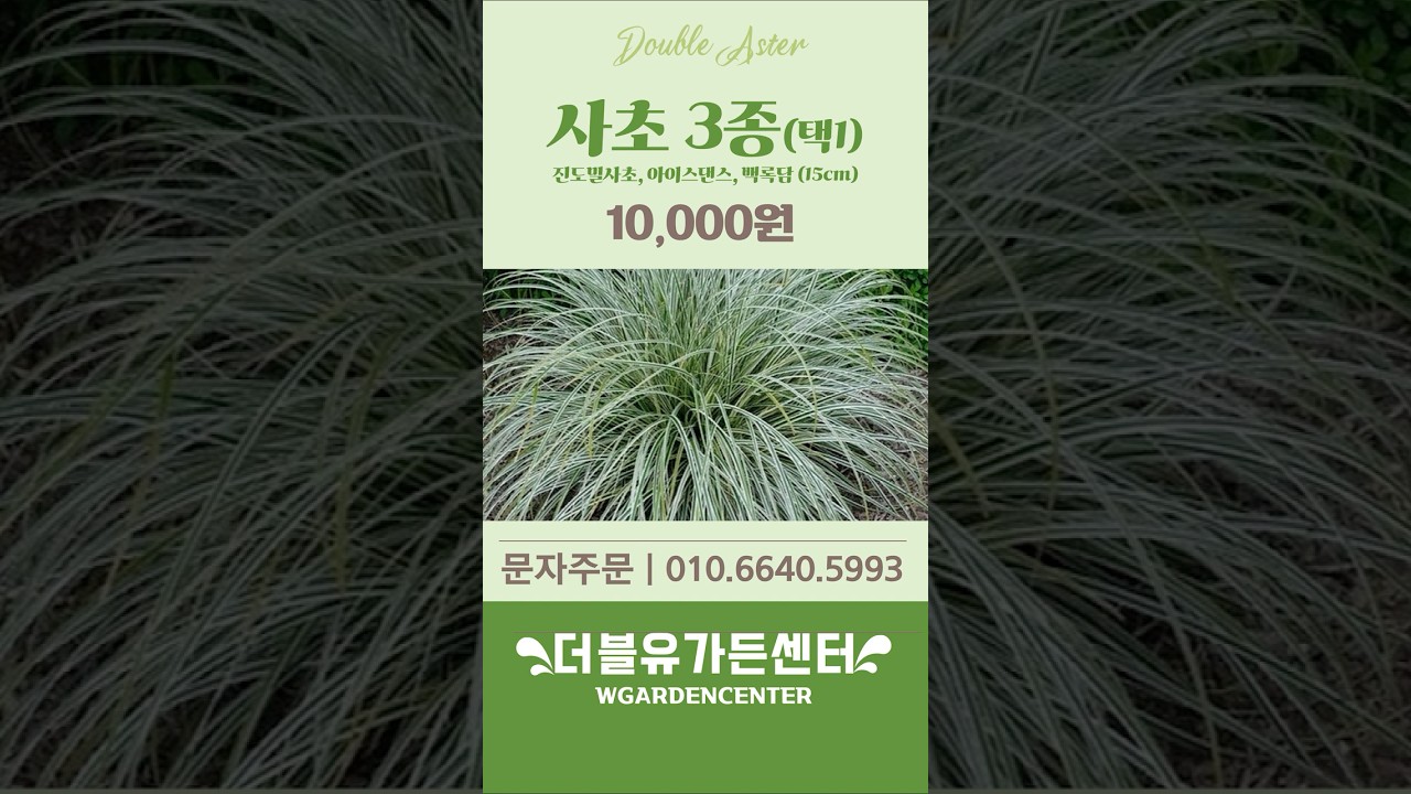 바람결이 머무는 정원, 사초 3종 레시피