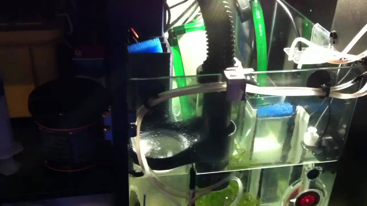 Red Sea Max 250 Sump Refugium