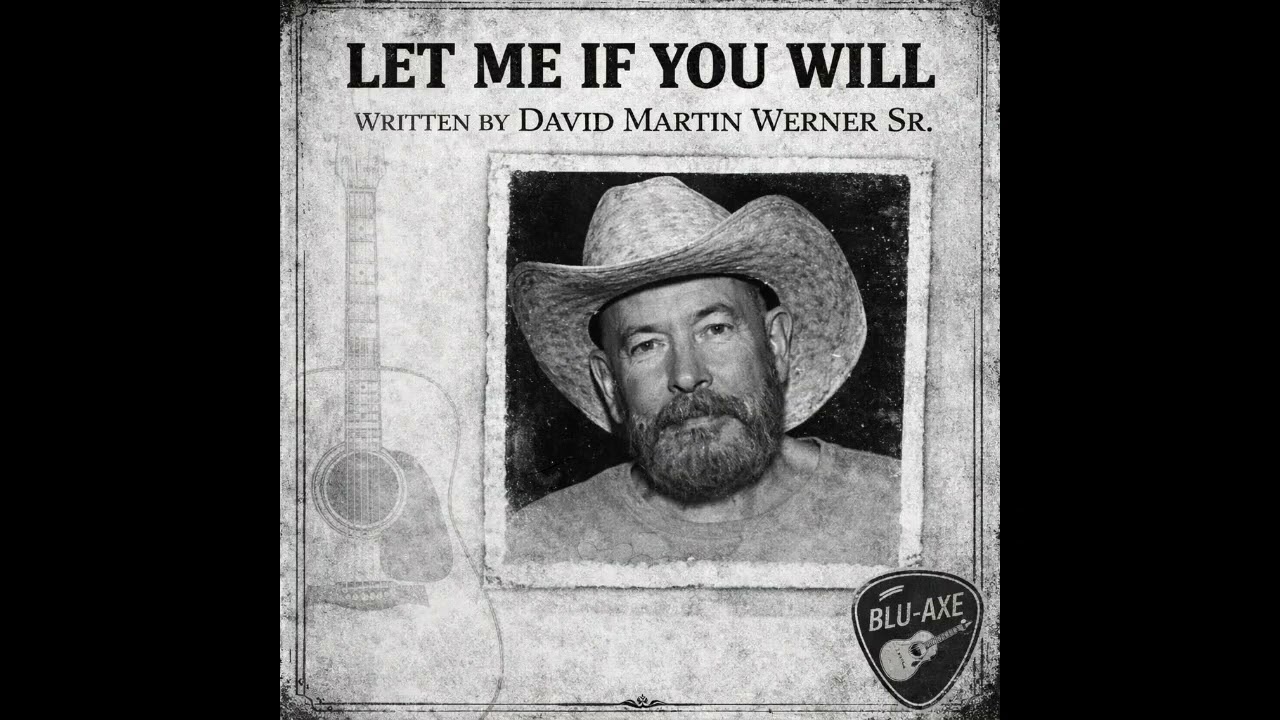 Let Me If You Will by David M. Werner Sr