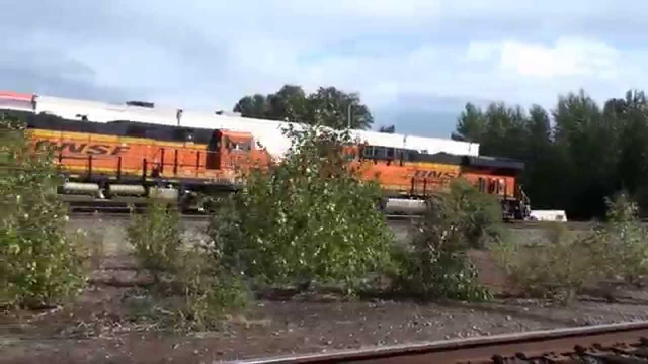 Three trains in Tukwila, WA, 9-2-2015