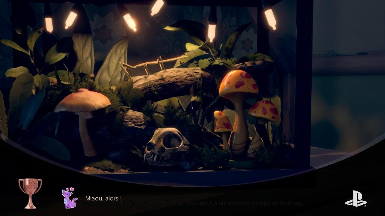 Lost Records: Bloom & Rage