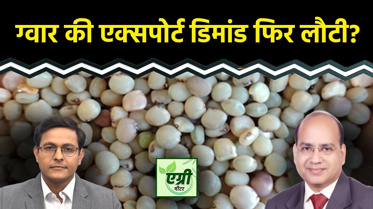 Agri Commodity : ग्वारसीड, ग्वारगम टेक्निकल चार्ट पर क्या बता रहा? Commodity Market | NCDEX