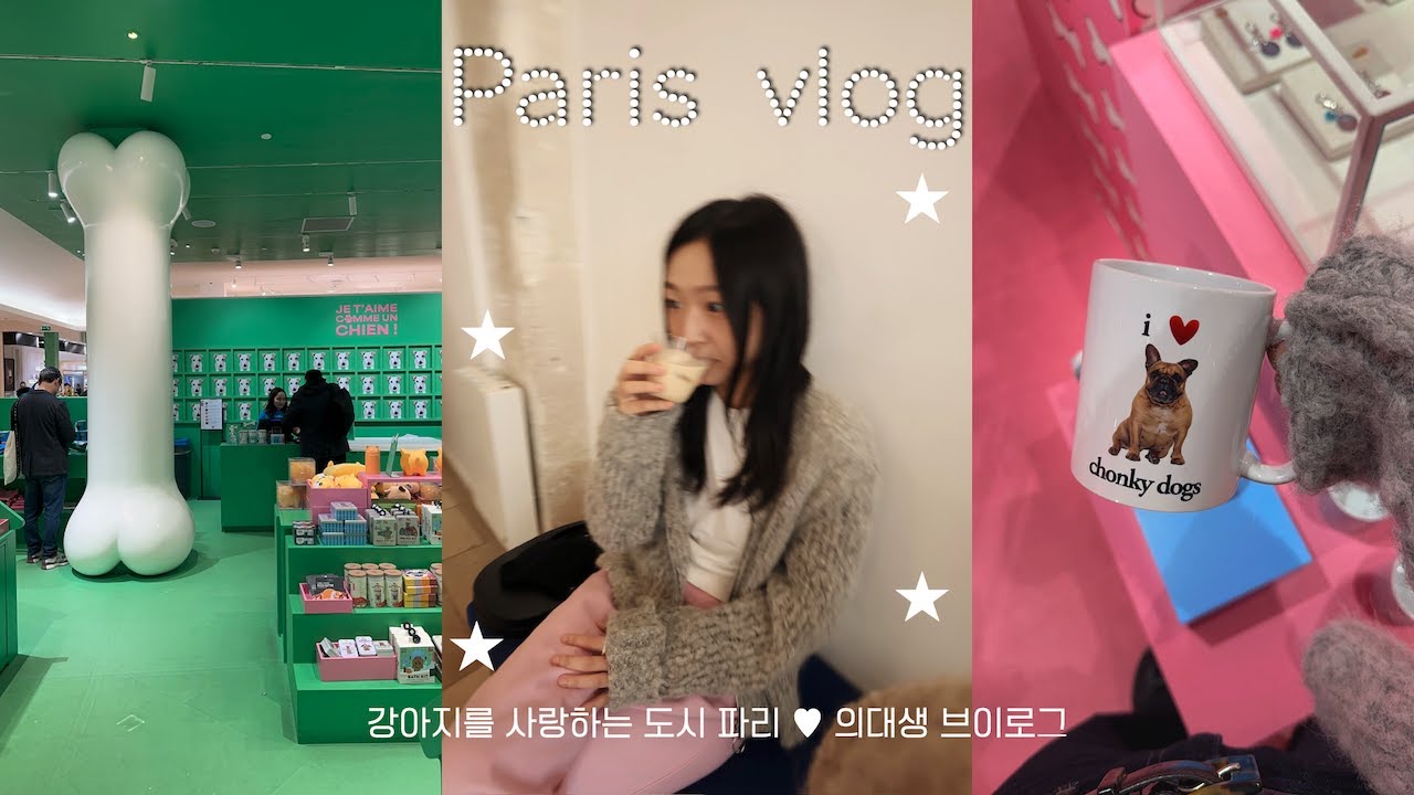 ⊹파리 의대생⊹ 4월 브이로그 I 강아지로 가득했던 이번 달 파리 🐾🐩  I 인턴으로써 마지막 실습 🩺  I 파리 레코드샵 추천⏺