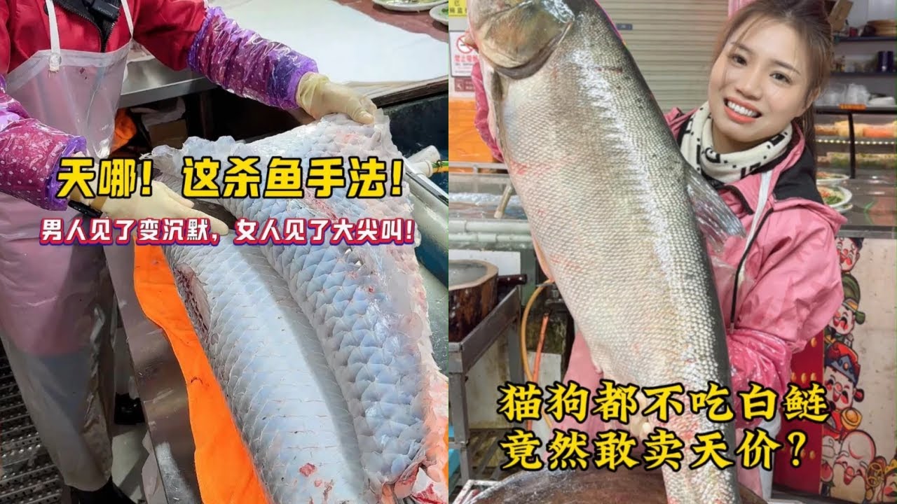 天哪！这杀鱼手法！男人见了变沉默，女人见了大尖叫！｜猫狗都不吃白鲢，竟然敢卖天价？