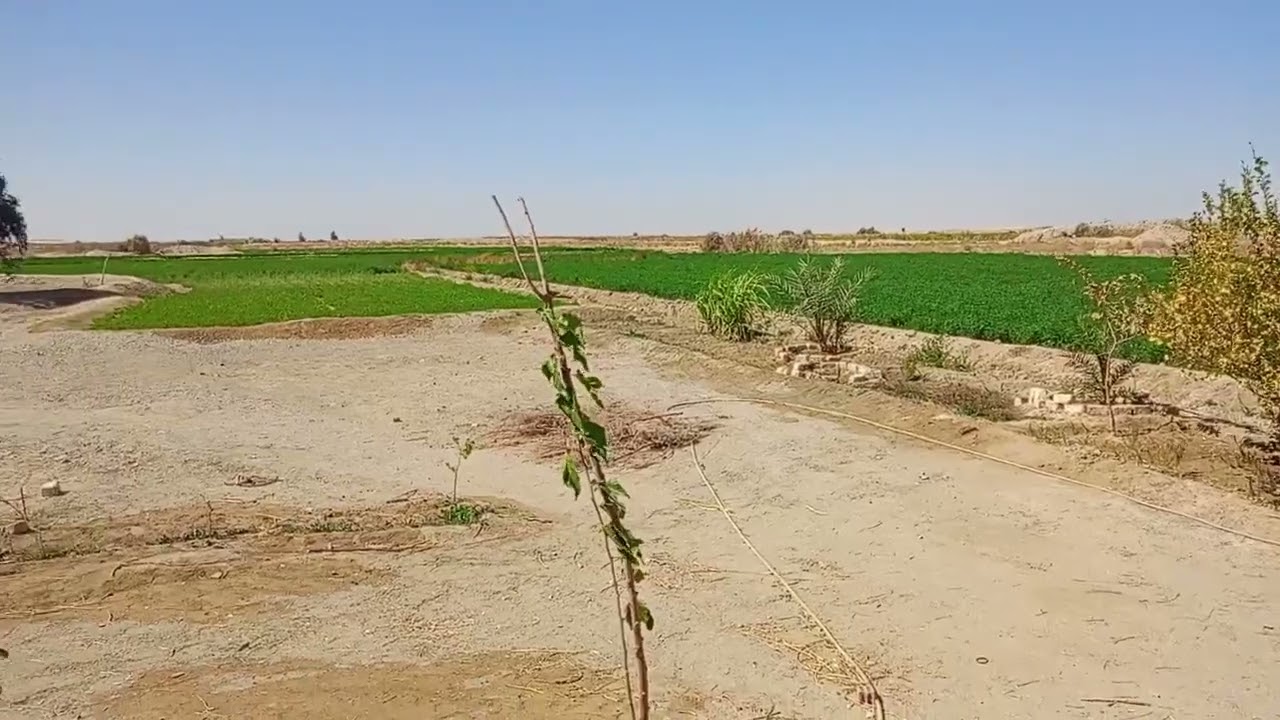 الوادي الجديد الفرافرة لله ما أخذ لله ما أعطي ٠١١٢٢٤٧٤١٨٩