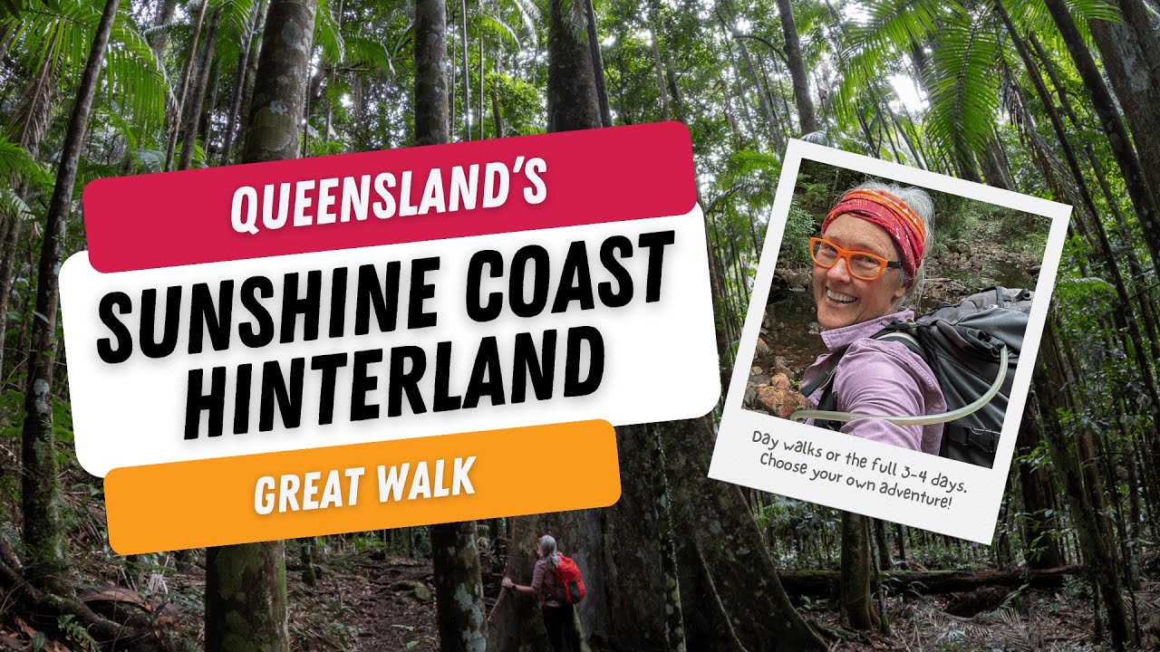 Sunshine Coast Hinterland Great Walk | Is this the most flexible multiday hike in Queensland?