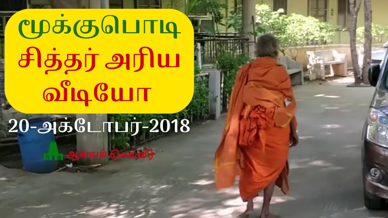 Mooku Podi Siddhar Thiruvannamalai | Mooku Podi Siddhar Latest | மூக்கு பொடி சித்தர்