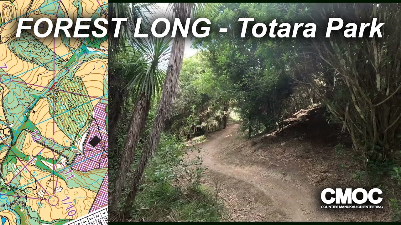 Forest - Totara Park