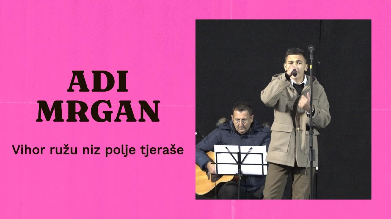 Adi Mrgan Vihor ružu niz polje tjeraše #sevdah #sevdalinke