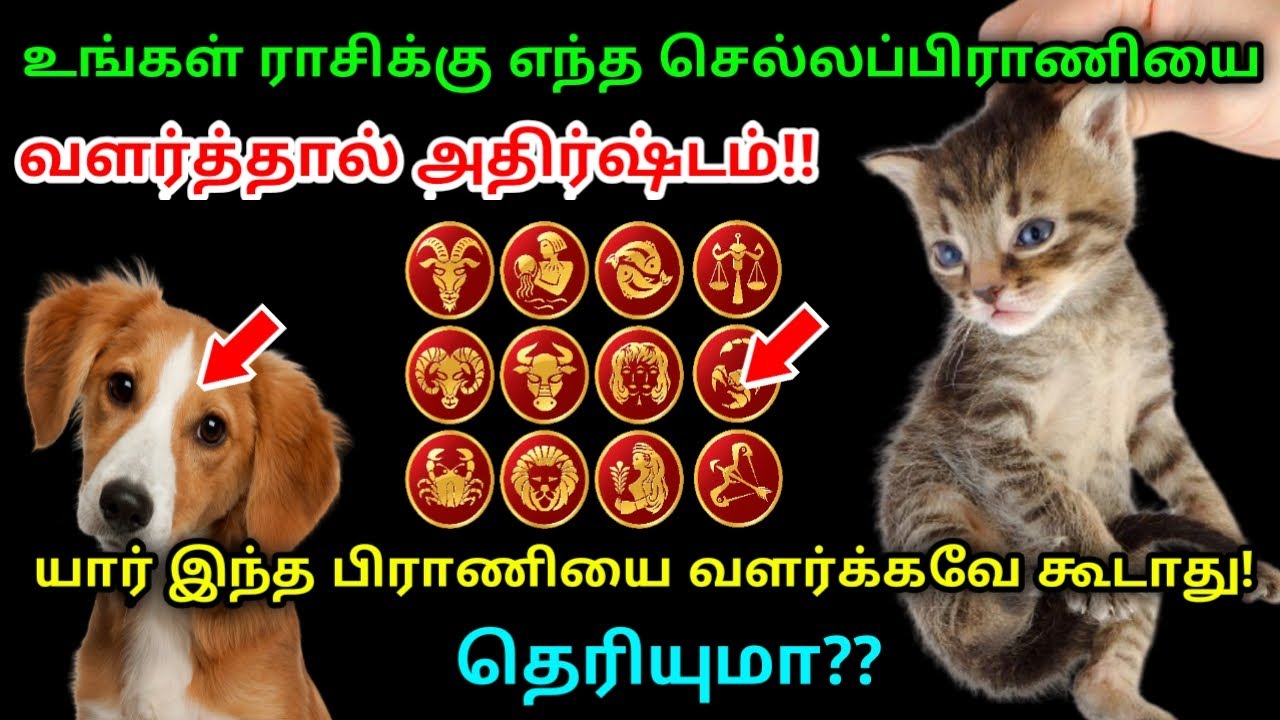 உங்கள் ராசிக்கு எந்த செல்லப்பிராணியை வளர்த்தால் அதிர்ஷ்டம் !