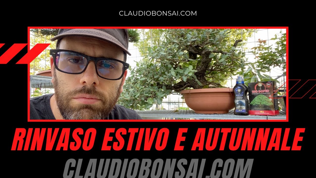 RINVASO ESTIVO E AUTUNNALE DEL BONSAI