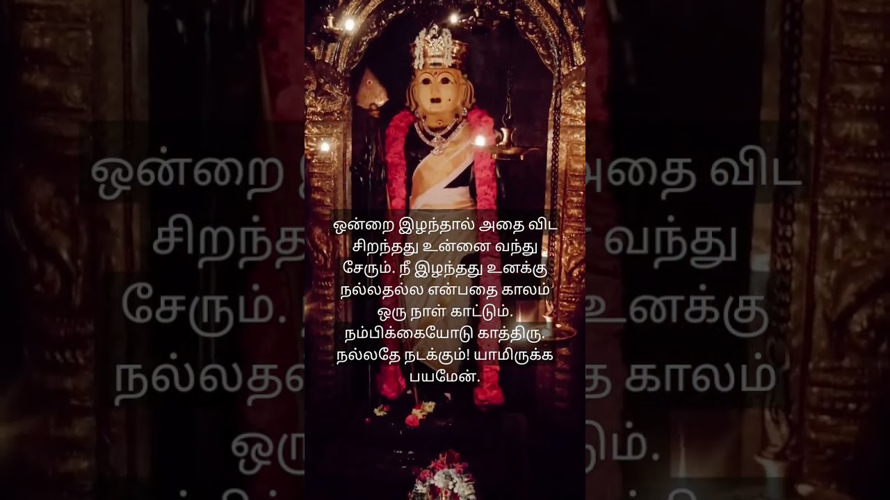 Om muruga saranam 🙏 #murugan #lordmurugan