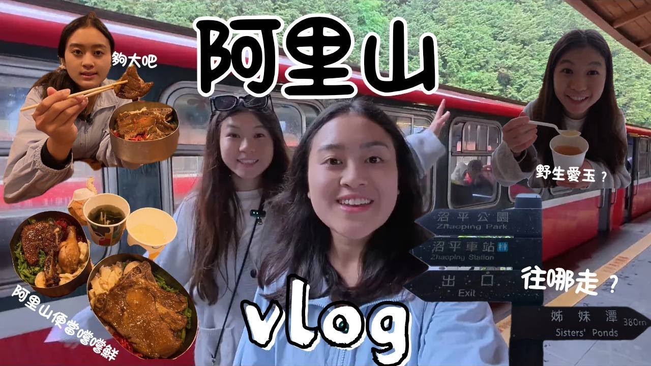 第一次去阿里山就遇上雨天！🚂 小火車＋雲霧森林超夢幻 🌲雖然路程有點遠，但真的值得❕💗