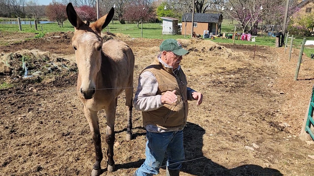 Buckskin Mind and Soul
