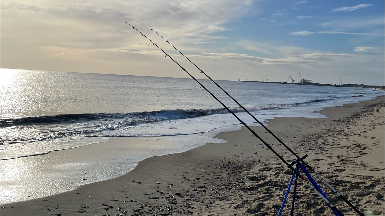Beach Fishing, Great Yarmouth, Plenty of fish