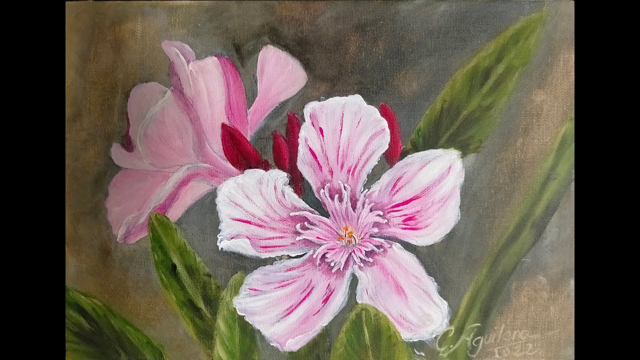 Como pintar la flor de la adelfa