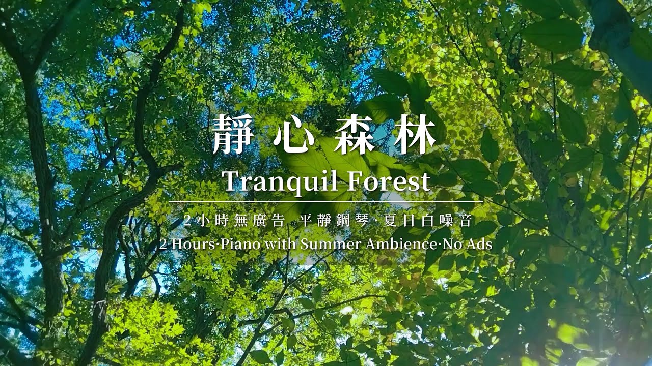【鋼琴與森林白噪音】 2小時放鬆音樂 | 2-Hour Peaceful Piano & Forest White Noise |