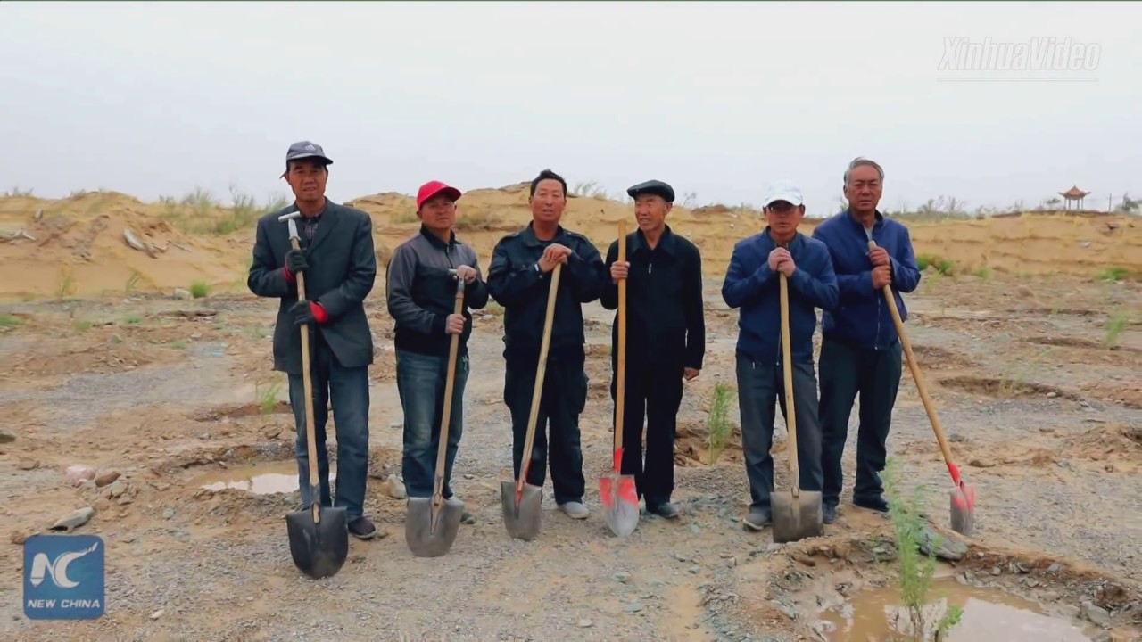How can we combat desertification? Chinese farmers share their story