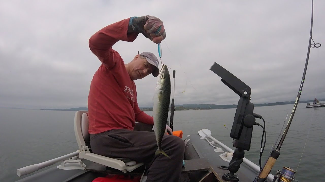 РЫБАЛКА НА СКУМБРИЮ  КЛАССНОЕ ВИДЕО 🐟🐟 В НАХОДКЕ...21.08.23.