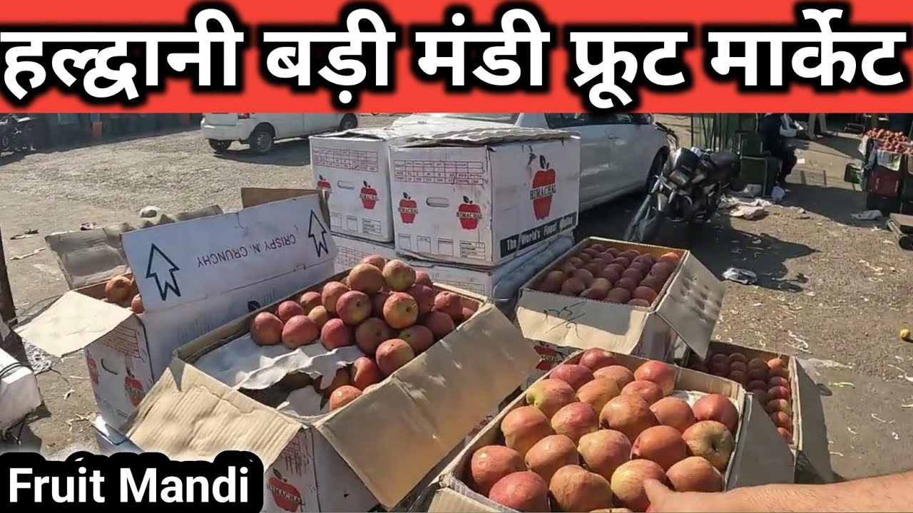 Haldwani Fruit Mandi Bhav | हल्द्वानी मंडी फ्रूट भाव जाने |Apple 🍎 Rate In Haldwani |