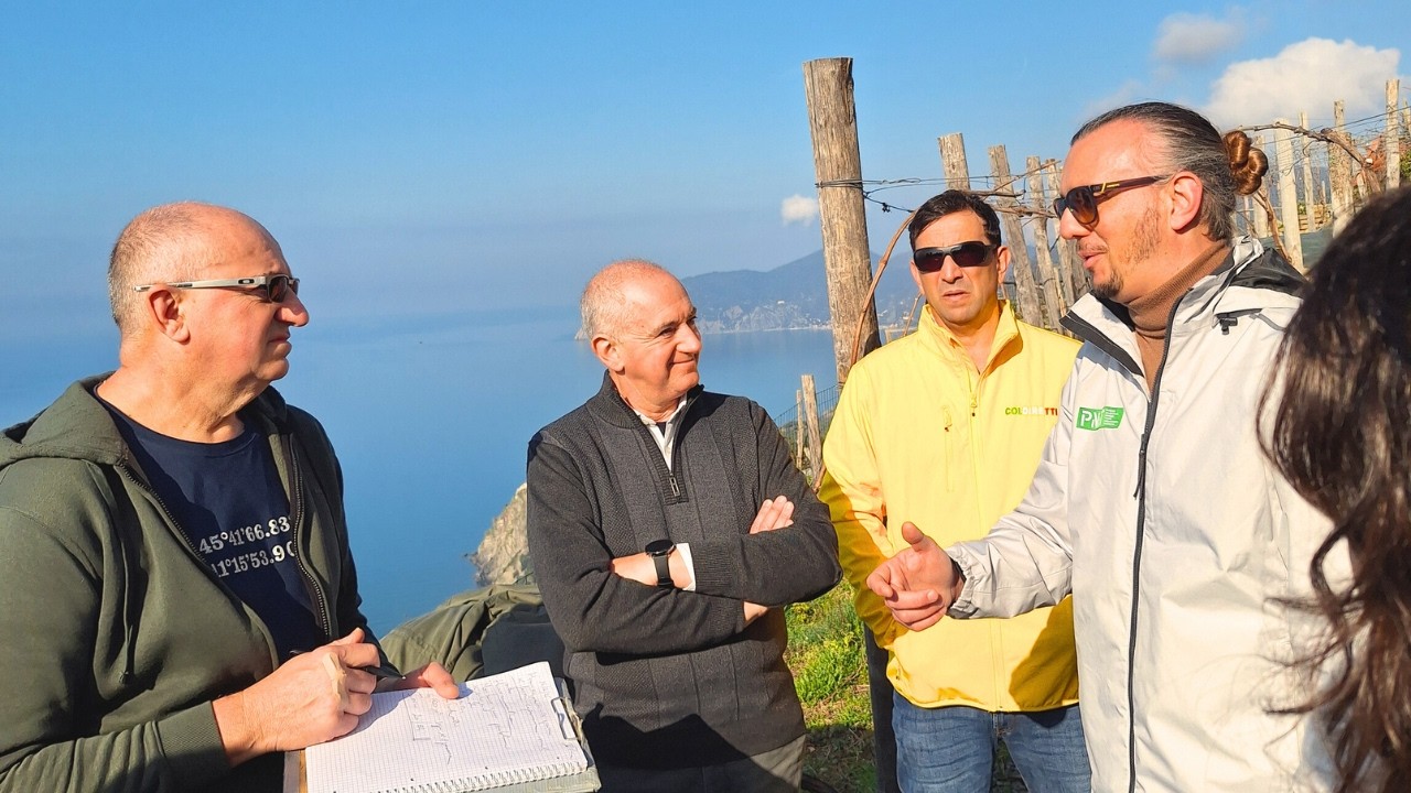 HERO-VINE: droni e innovazione nella viticoltura eroica ligure