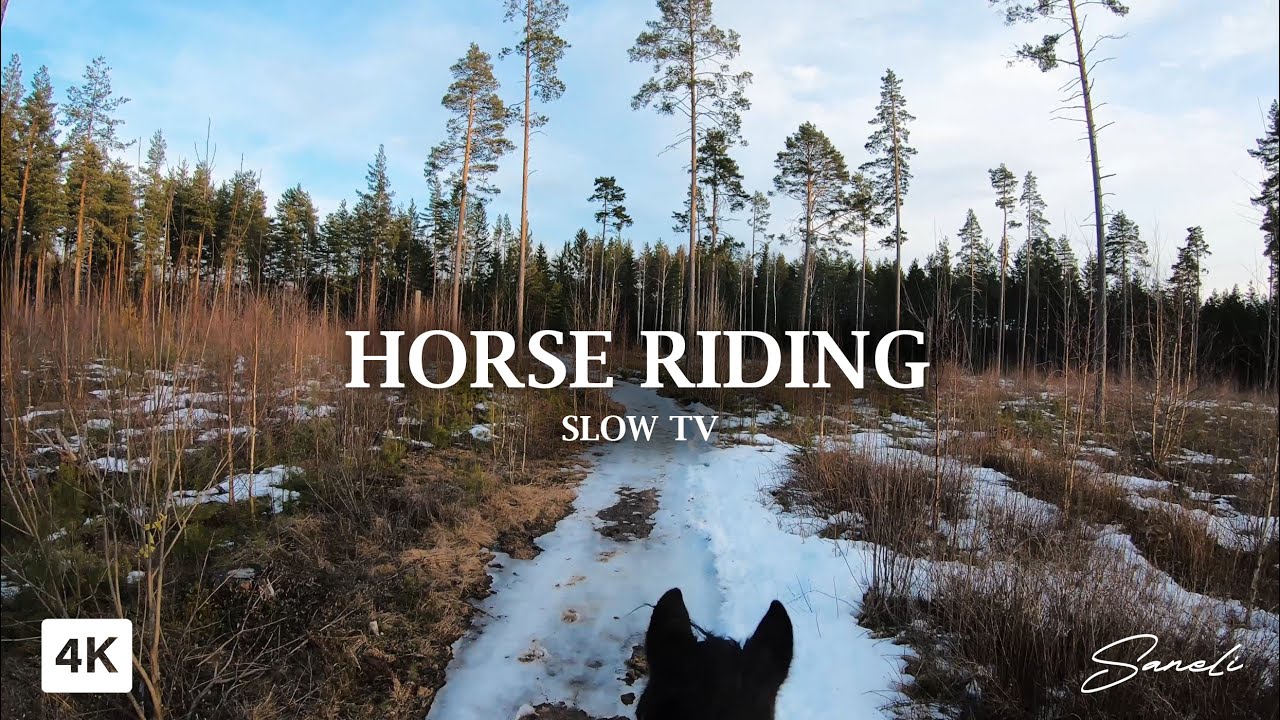 Silent Uncut Horse Riding in early spring weather - 4K Slow TV