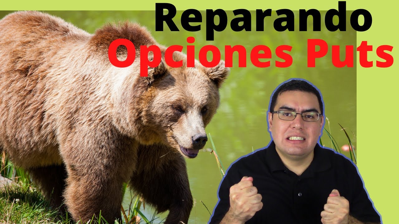 COMO MANEJAR OPCIONES PUTS CUANDO SALEN MAL ? SE PUEDE HACERLE ROLL!!