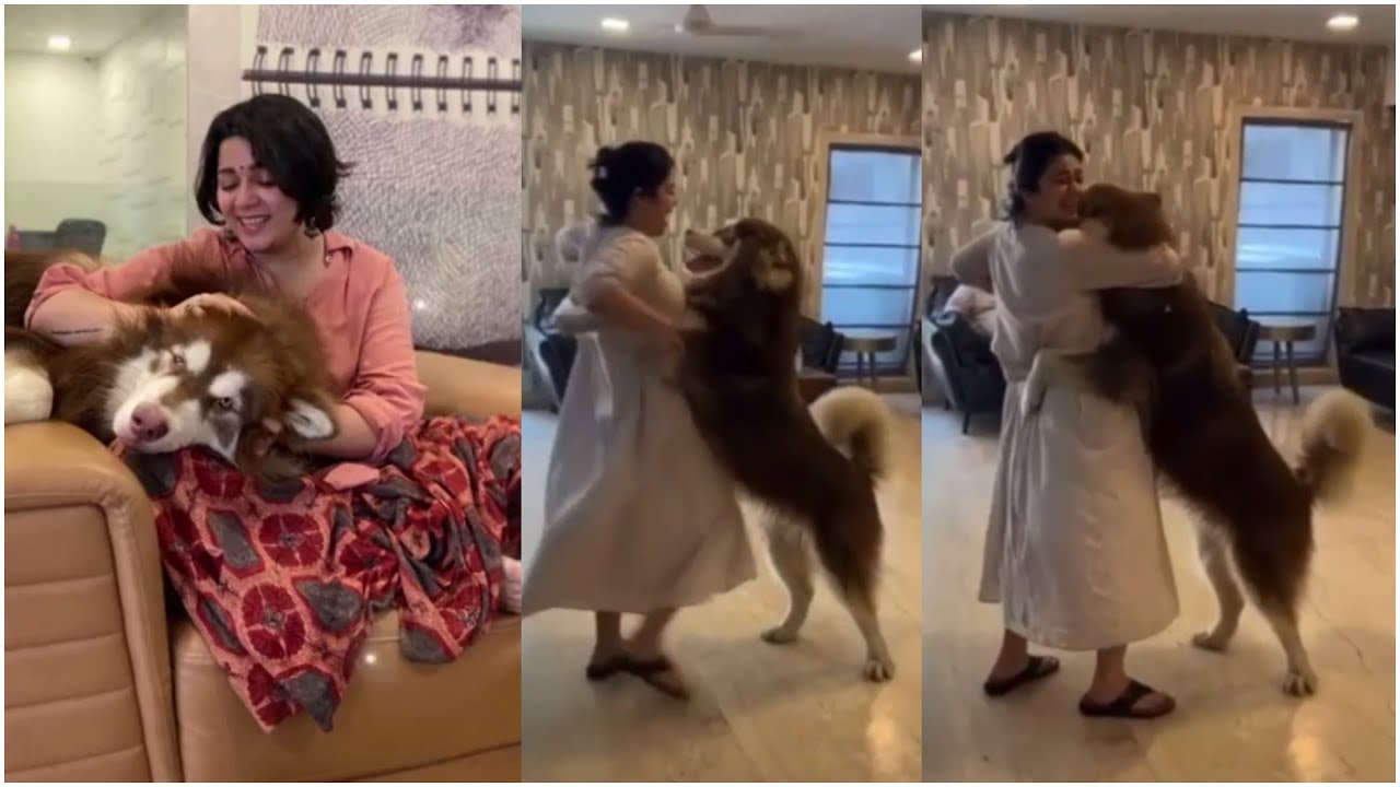 Actress Charmy Kaur Playing With Her Dog |#CharmyKaur |TFPC