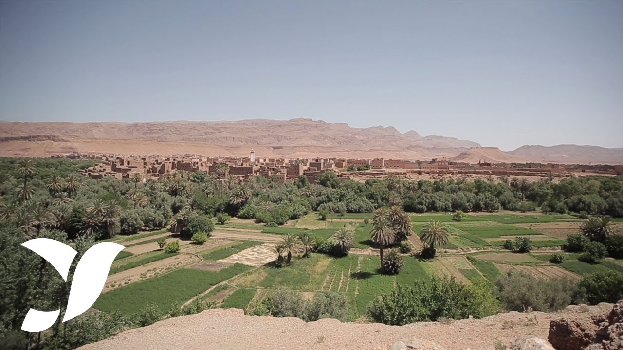 Mode de production des dattes dans les oasis de Drâa, Toudgha et Ouhmidi