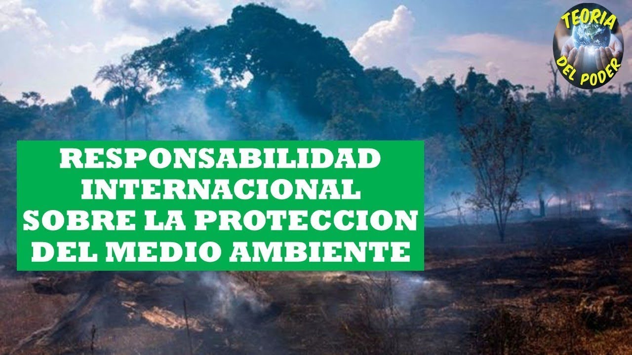 RESPONSABILIDAD INTERNACIONAL POR EL MEDIO AMBIENTE
