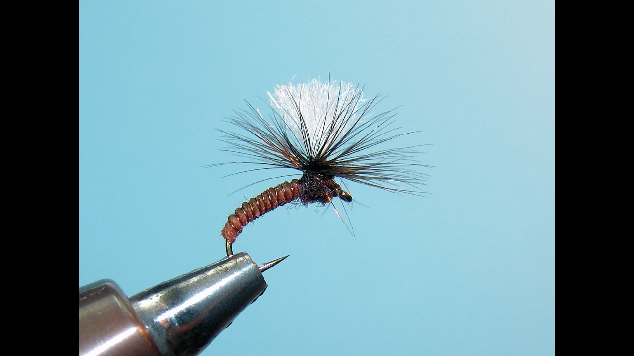 Isca de fly para tilápias - Tanajura Klinkhamer