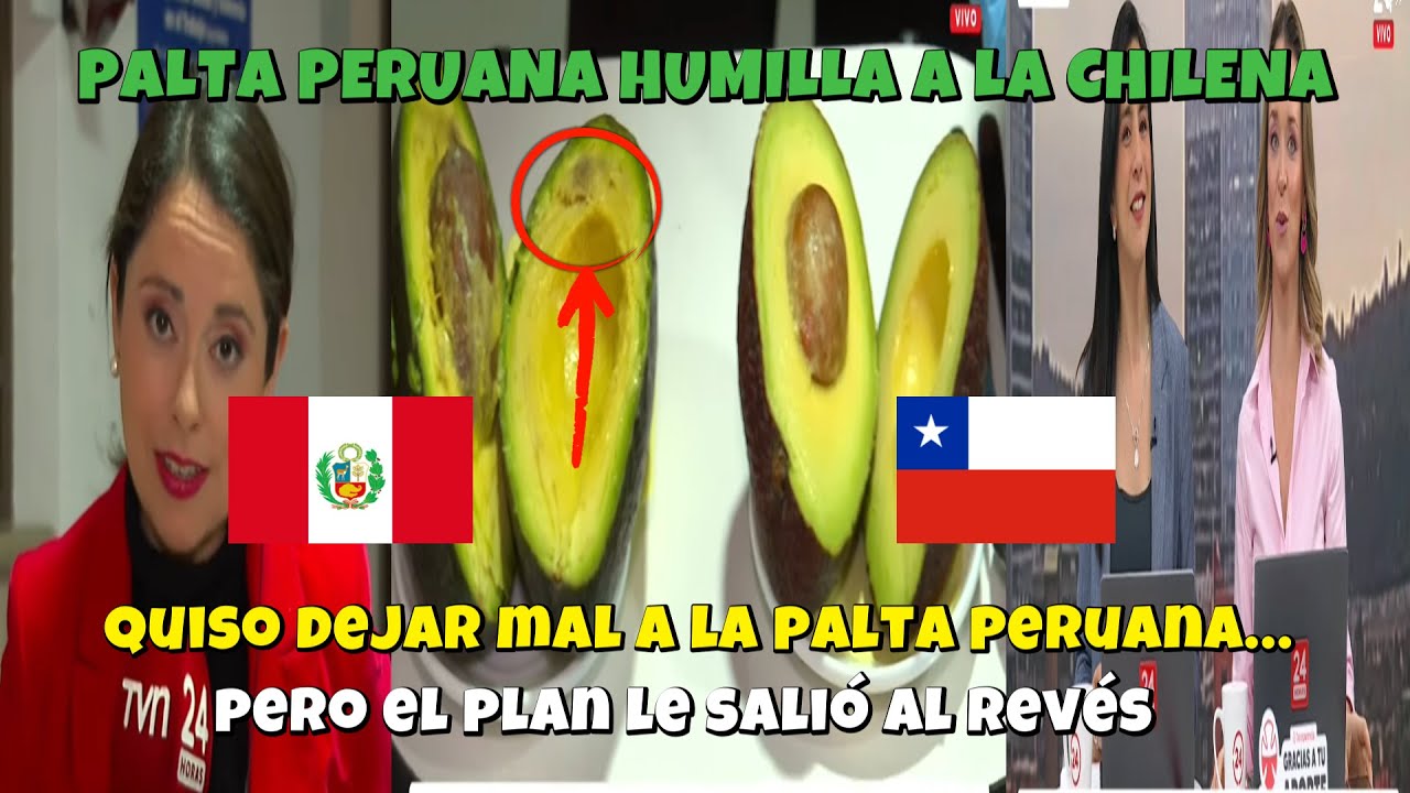 QUISIERON HUMILLAR A LA PALTA PERUANA&hellip; &iexcl;PERO TERMIN&Oacute; SIENDO LA MEJOR!