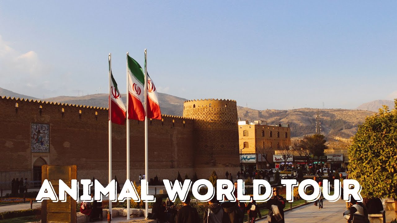 Animal World Tour: Iranian Wildlife as You've Never Seen It !