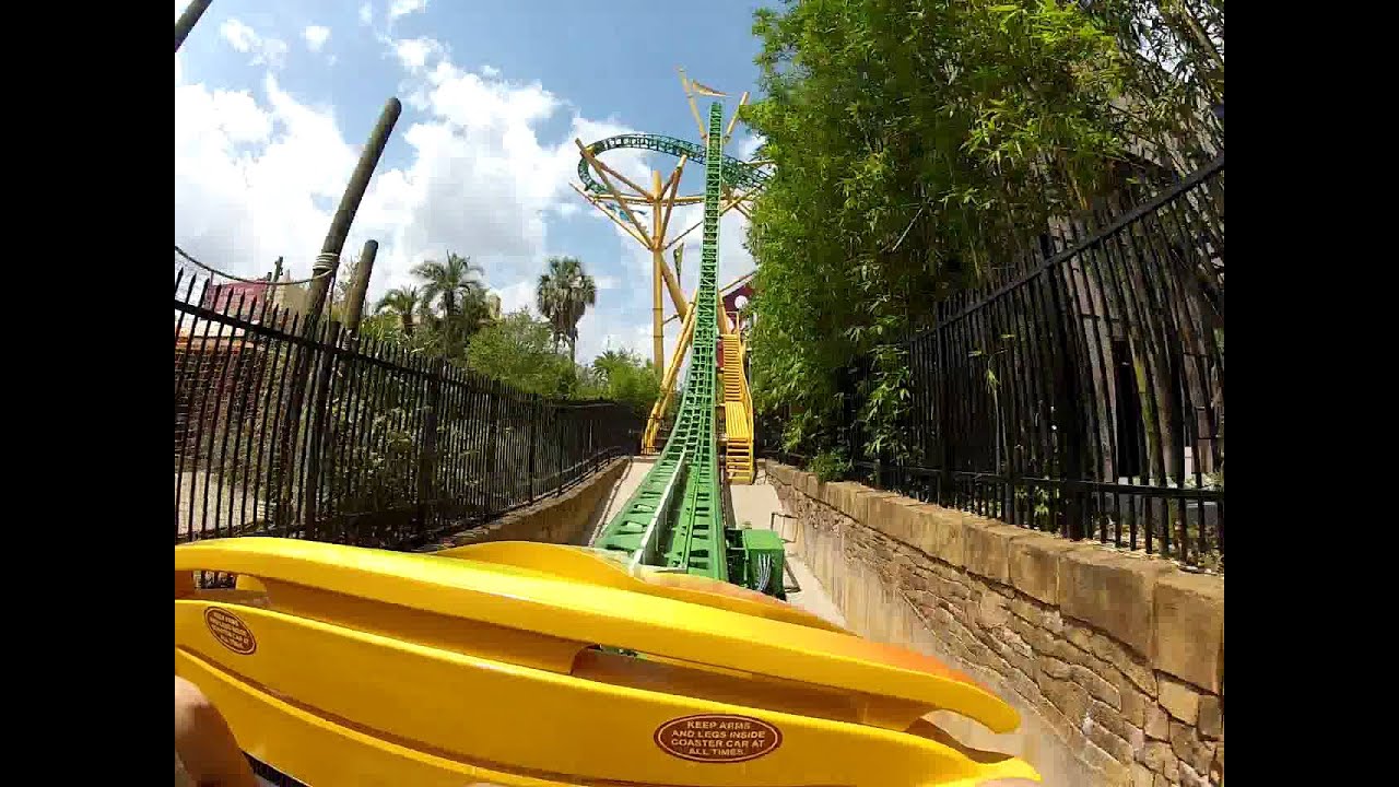 Nova montanha russa - Busch Gardens - Cheetah Hunt - Lama Racing - #buschgardens #cheetah #tampa